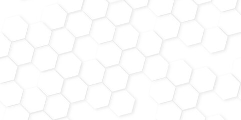 Abstract background with hexagon, modern abstract vector polygonal pattern. Futuristic honeycomb mosaic white background,white and gray hexagon honeycomb geometric copy space.