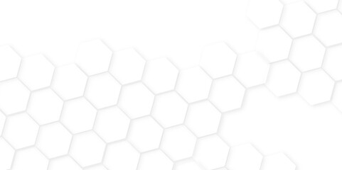 Abstract background with hexagon, modern abstract vector polygonal pattern. Futuristic honeycomb mosaic white background,white and gray hexagon honeycomb geometric copy space.