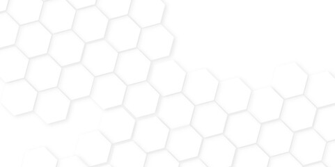 Abstract background with hexagon, modern abstract vector polygonal pattern. Futuristic honeycomb mosaic white background,white and gray hexagon honeycomb geometric copy space.