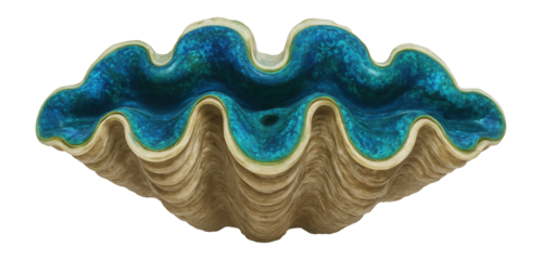 Giant clam with iridescent blue and green mantle and fluted shell edges