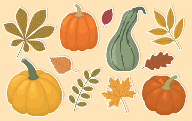 Autumn sticker set with leaves and pumpkins. Hand drawn harvest time fall