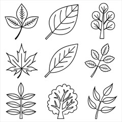 leaves-icon-collection--includes-thin-line-symbols