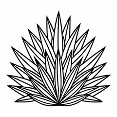 black and white flower