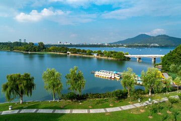 Serene Lakeside Scenery in a City Park