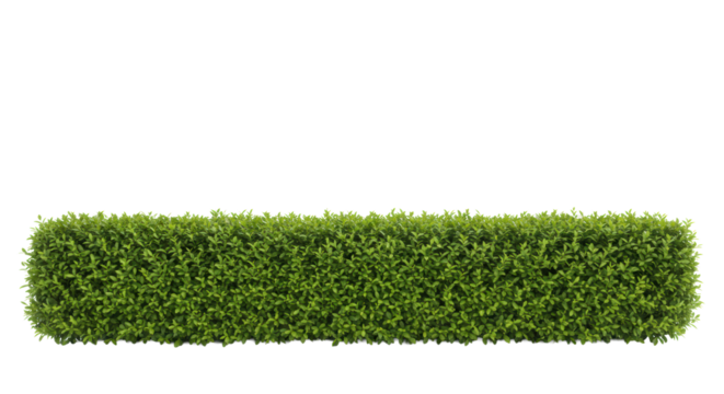 Perfectly manicured, vibrant green hedge with dense foliage and uniform growth, against a transparent background with copy space, even studio lighting, concept of natural boundary for high-quality