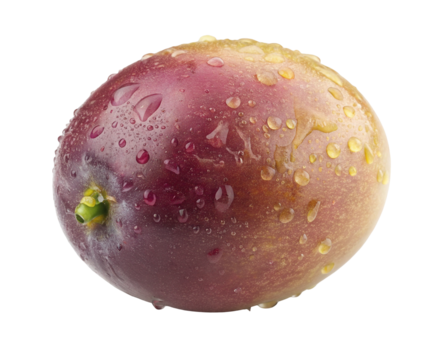 Fresh juicy plum with water droplets on dark background for perfect design or marketing concept