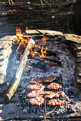 Person grilling raw meat over a fire pit with glowing embers and burning logs. Outdoor cooking...