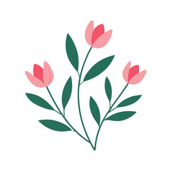 bouquet of pink tulips