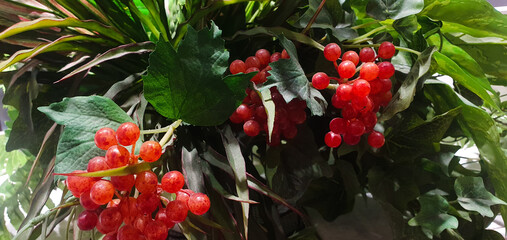 Artificial flowers with green leaves and red berries,decoration, decorative plastic plant.