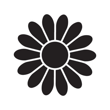 Daisy flower silhouette isolated on white background