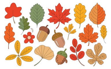 Autumn Leaves and Fruits Vector: Colorful Seasonal Foliage, Harvest Elements for Fall Design, Nature Decor, and Thanksgiving Themes  

