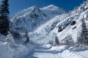 Obraz premium Majestic avalanche cascading down snowy mountain slopes