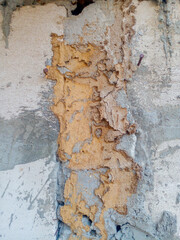 Termite house on the wall of the house. Brown termite house.