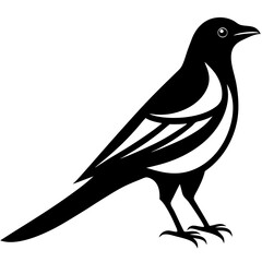Stylized black and white silhouette of a magpie bird standing on white background