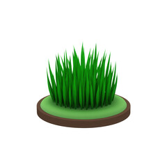 A verdant patch of vibrant green grass features numerous individual blades rising from a circular base