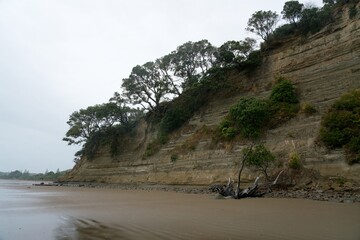 Long Bay Beach Cliff in Rainy Weather, Auckland, New Zealand