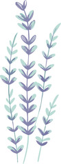 Elegant Pastel Lavender Floral Illustration Botanical Design Element