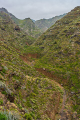 Barranco del Río green slopes