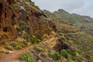 Volcanic trail in Anaga valley
