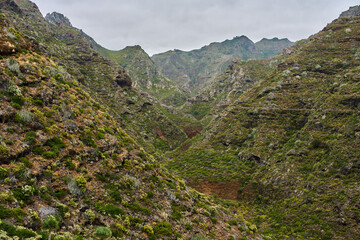 Barranco del Río green slopes