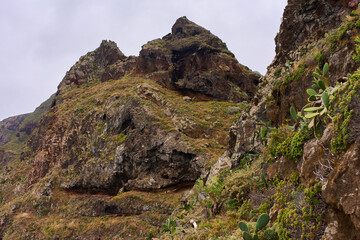 Roque Dos Hermanos cliff face