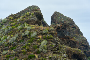 Roque Dos Hermanos cliff face