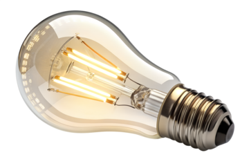 Vintage LED Edison Light Bulb