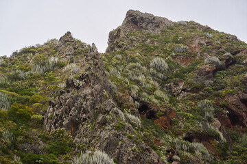 Volcanic slope in Anaga, Tenerife