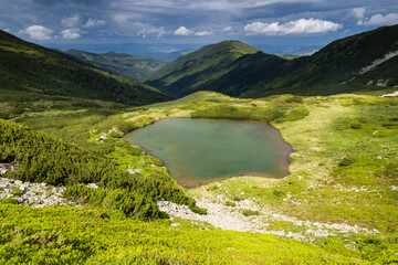 green landscape in Rodnei mountains Romania