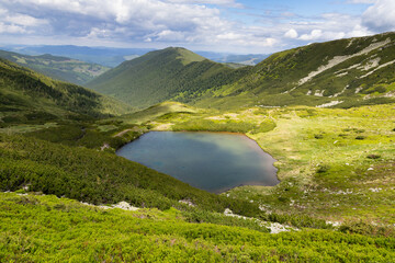 green landscape in Rodnei mountains Romania