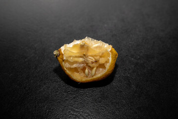A piece of bad dry lemon isolated on black background.