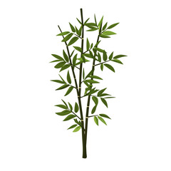 My Simple flat 2D illustration of a bamboo stalk isolated on a white background, vector 2D design, icon, flat 2d illustration art, Eps painting, Vector set