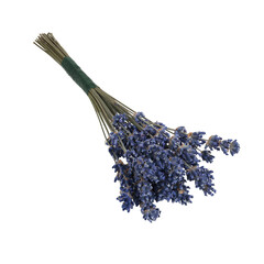 Bouquet of dry lavender flowers isolated on a transparent background