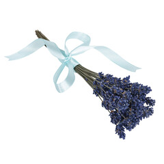 Bouquet of dry lavender flowers isolated on a white background