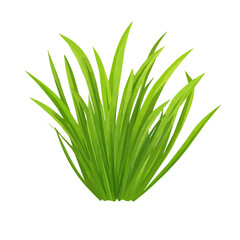 My Simple flat 2D illustration of a icon wheatgrass isolated on a white background, vector 2D design, icon, flat 2d illustration art, Eps painting, Vector set