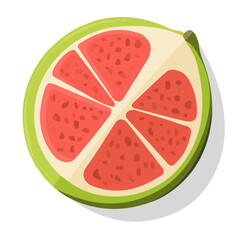 My Simple flat 2D illustration of a sliced guava isolated on a white background, vector 2D design, icon, flat 2d illustration art, Eps painting, Vector set