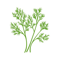 My Simple flat 2D illustration of a icon dill branch isolated on a white background, vector 2D design, icon, flat 2d illustration art, Eps painting, Vector set