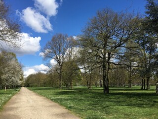 Wide trail in the park on a sunny day
