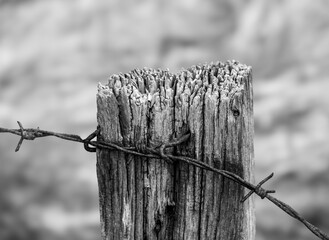 Alter verwitterter Holzpfahl mit Stacheldaraht