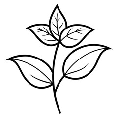  nightshade-flower-on-white-background