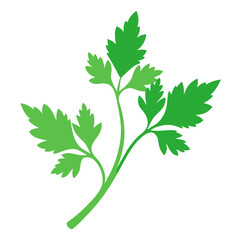  parsley vector on-white-background