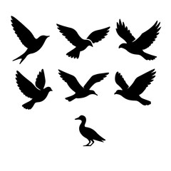 Fototapeta premium Flying Bird Silhouettes