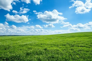 Fototapeta premium Bright green meadow under blue sky with fluffy clouds, peaceful nature landscape symbolizing freedom, freshness, and serenity