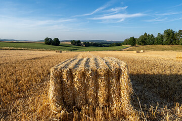 Landscape with bales of straw on the field