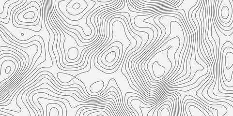 Fototapeta premium Generate an abstract background featuring intricate, flowing contour lines in varying shades of grey on a light,neutral background.The lines should create a sense of organic movement and subtle depth.