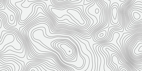 Generate an abstract background featuring intricate, flowing contour lines in varying shades of grey on a light,neutral background.The lines should create a sense of organic movement and subtle depth.