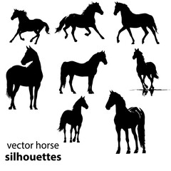 vector horse silhouettes
