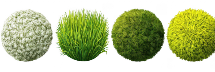 Circular plant textures in varying shades of green and yellow