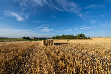 Square straw bales on a summer field under a blue sky.