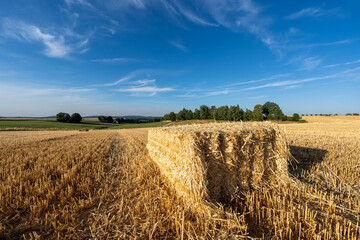 A farm field in the countryside filled with straw bales.
